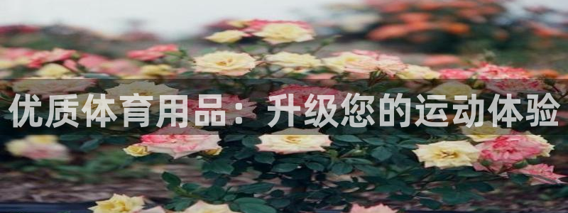 欧陆娱乐怎么注册会员的：优质体育用品：升级您的运动体