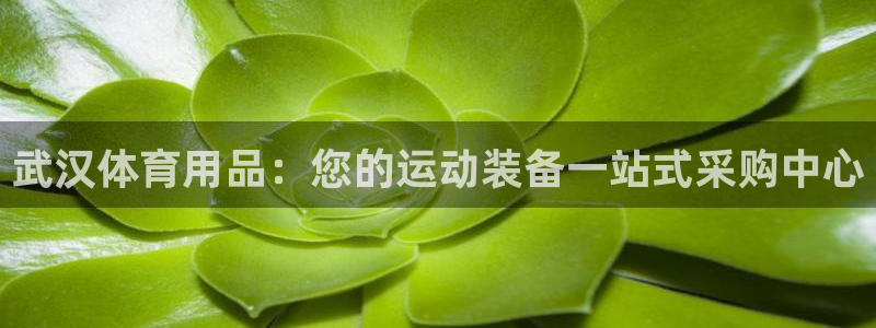 欧陆娱乐注册芯7o777ts=0：武汉体育用品：您的