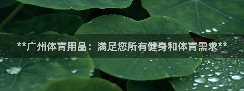 欧陆娱乐分分彩：**广州体育用品：满足您所有健身和体