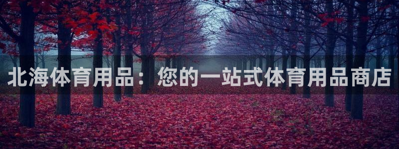 欧陆娱乐公司产品介绍大全：北海体育用品：您的一站式体