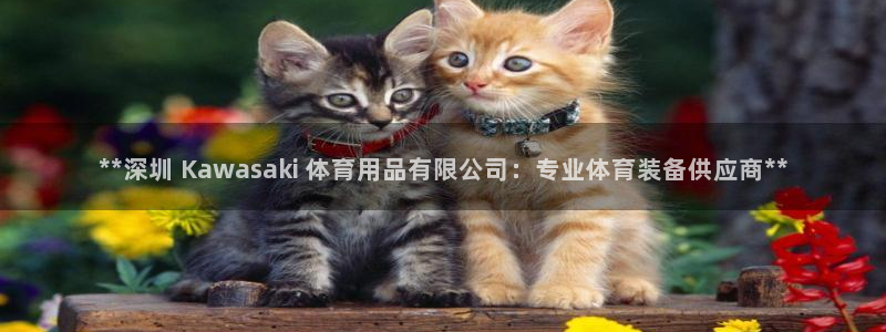 欧陆娱乐能不能玩：**深圳 Kawasaki 体育用