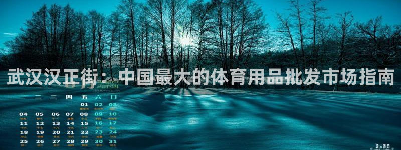 欧陆娱乐总代理电话：武汉汉正街：中国最大的体育用品批