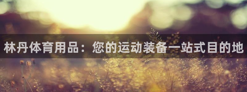 欧陆娱乐试玩官网：林丹体育用品：您的运动装备一站式目