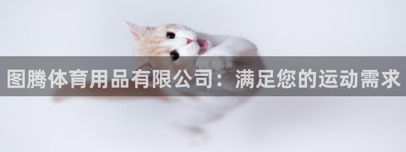 欧陆娱乐官网：图腾体育用品有限公司：满足您的运动需求