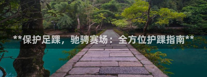 欧陆娱乐官网注册中心：**保护足踝，驰骋赛场：全方位