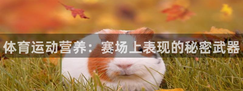 欧陆娱乐是那个旗下的品牌公司：体育运动营养：赛场上表