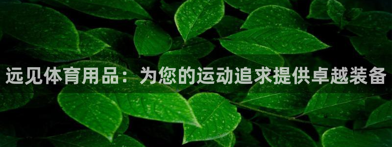 欧陆娱乐不让提现吗：远见体育用品：为您的运动追求提供