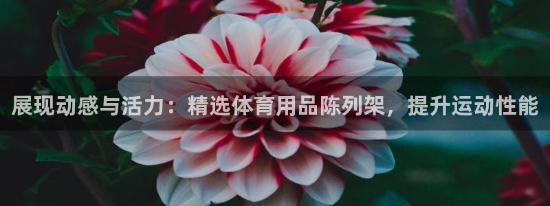 重庆欧陆娱乐有限公司怎么样：展现动感与活力：精选体育