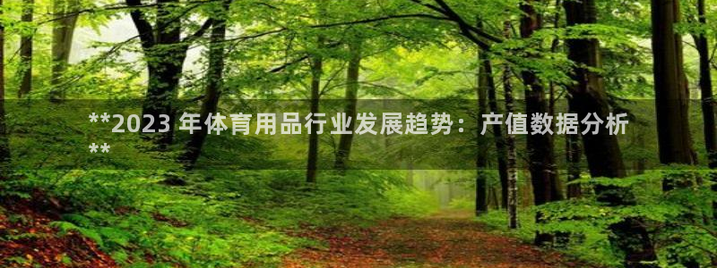 欧陆娱乐天富主管：**2023 年体育用品行业发展趋