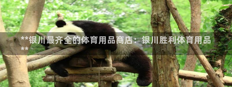欧陆娱乐是正规平台吗安全吗可靠吗知乎：**银川最齐全