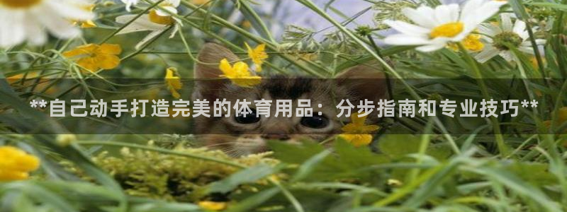 欧陆娱乐公司产品介绍大全：**自己动手打造完美的体育