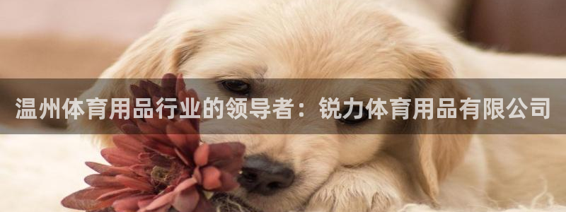欧陆娱乐公司产品介绍怎么写：温州体育用品行业的领导者
