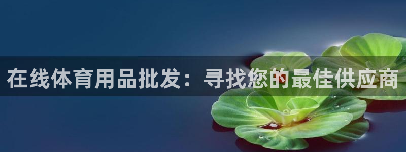欧陆娱乐登录官网：在线体育用品批发：寻找您的最佳供应