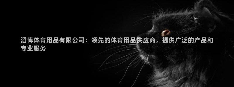 欧陆娱乐app攻略大全：滔博体育用品有限公司：领先的