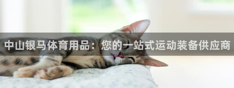 欧陆娱乐百科：中山银马体育用品：您的一站式运动装备供