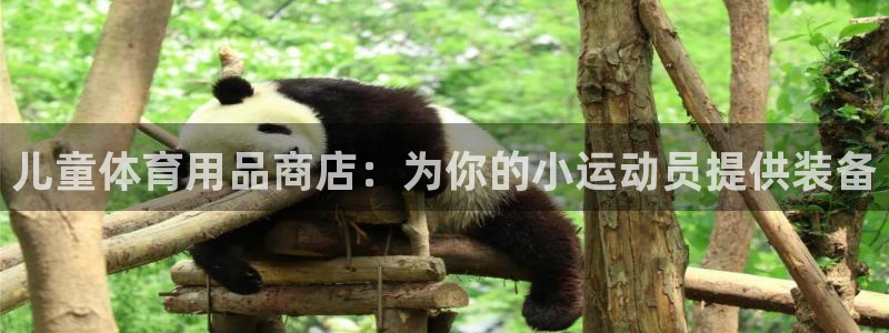 欧陆娱乐怎么注册帐号登录：儿童体育用品商店：为你的小