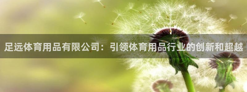 欧陆娱乐客服电话：足远体育用品有限公司：引领体育用品