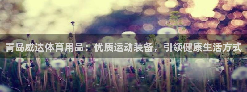 欧陆娱乐官方下载安装：青岛威达体育用品：优质运动装备