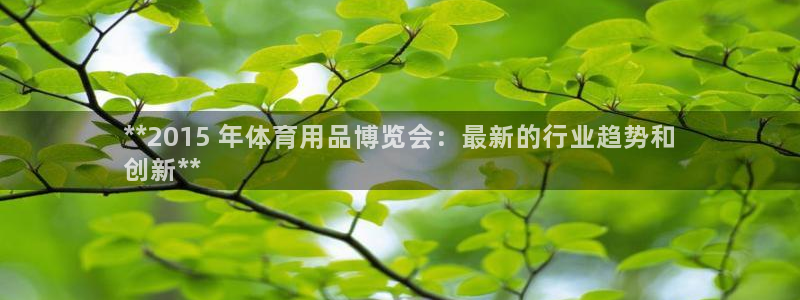 欧陆娱乐安全吗：**2015 年体育用品博览会：最新