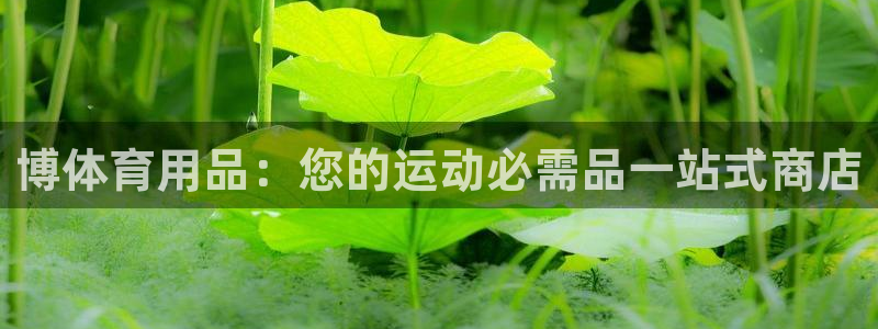 欧陆娱乐能提现嘛?：博体育用品：您的运动必需品一站式
