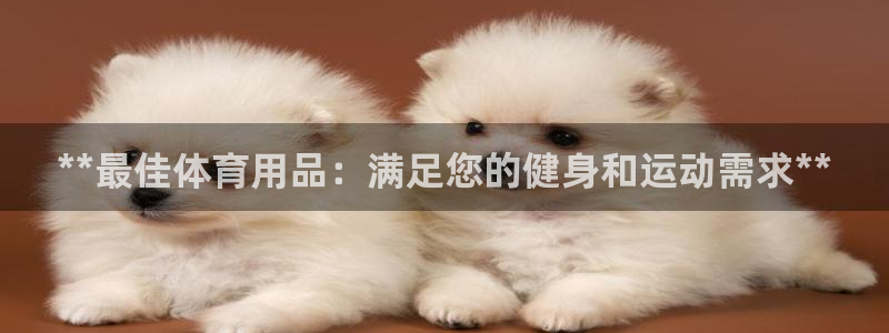 欧陆娱乐挂机项目有哪些：**最佳体育用品：满足您的健