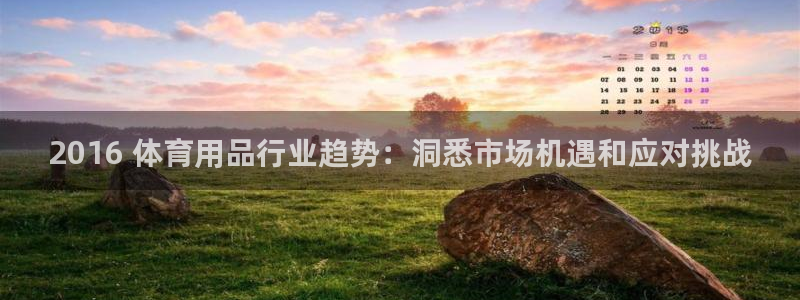 欧陆娱乐平台登录不上去怎么回事：2016 体育用品行