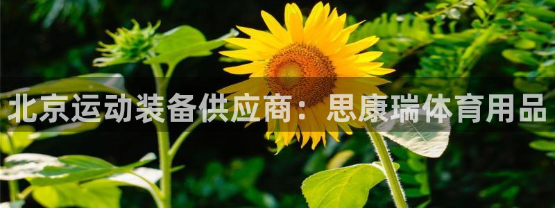 欧陆娱乐官网下载安装最新版：北京运动装备供应商：思康