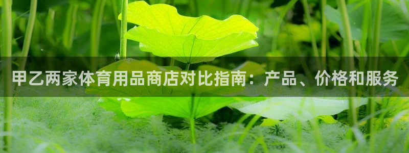 欧陆娱乐中国：甲乙两家体育用品商店对比指南：产品、价