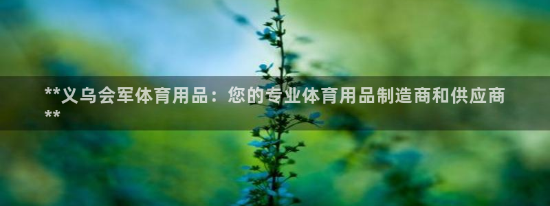 欧陆娱乐平台登录不上怎么办：**义乌会军体育用品：您