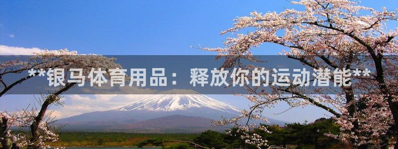 欧陆娱乐总代理是谁：**银马体育用品：释放你的运动潜