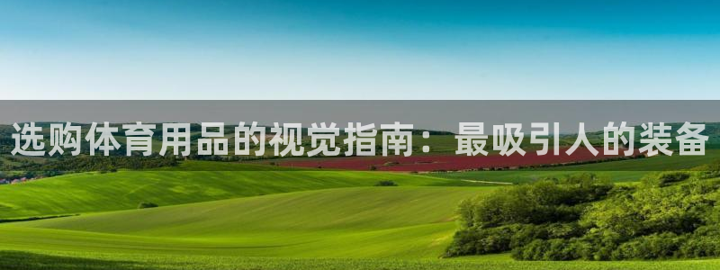 欧陆娱乐计划预测软件有哪些：选购体育用品的视觉指南：
