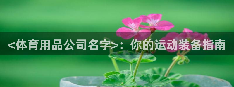 欧陆娱乐平台优势：<体育用品公司名字>：你的运动装备