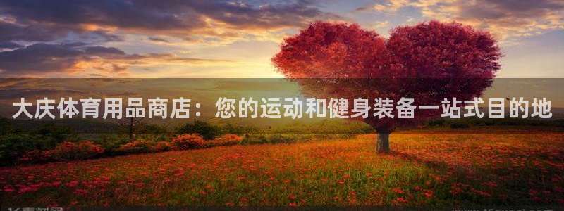 欧陆平台：大庆体育用品商店：您的运动和健身装备一站式