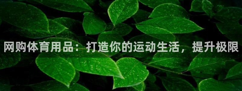 欧陆娱乐注册代理多少钱啊：网购体育用品：打造你的运动