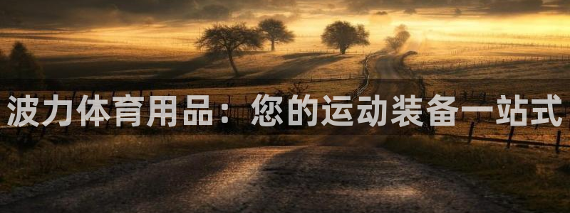 欧陆娱乐app打不开怎么回事儿：波力体育用品：您的运