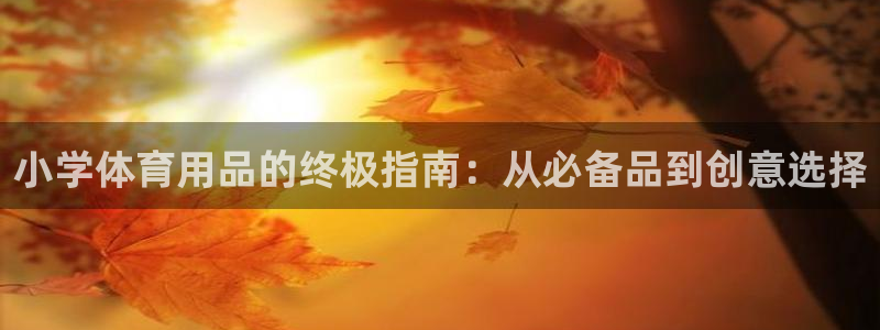 欧陆娱乐平台毕 (q—43314) 旨：小学体育用品