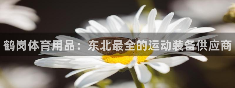 欧陆娱乐登陆平台：鹤岗体育用品：东北最全的运动装备供