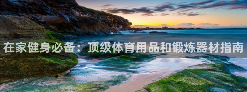 欧陆娱乐平台登录不上去怎么办：在家健身必备：顶级体育