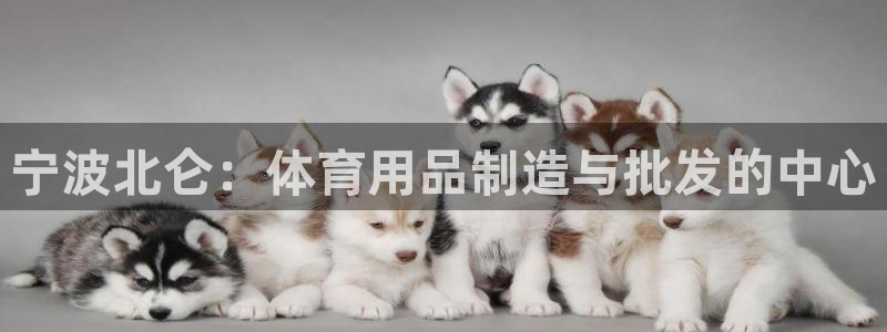 欧陆娱乐注册代理多少钱：宁波北仑：体育用品制造与批发