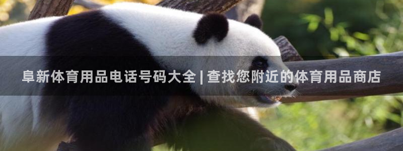 欧陆娱乐挂机项目怎么弄：阜新体育用品电话号码大全 |