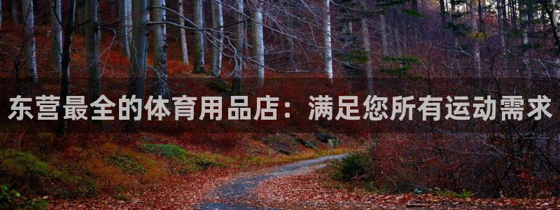 欧陆娱乐的故事：东营最全的体育用品店：满足您所有运动