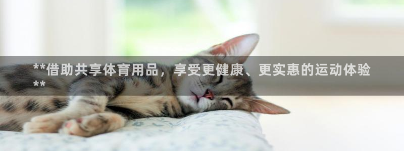 欧陆官方网站：**借助共享体育用品，享受更健康、更实