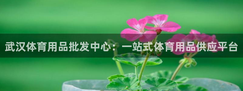 欧陆娱乐怎么注册会员的：武汉体育用品批发中心：一站式