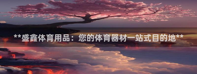 欧陆娱乐是干什么的：**盛鑫体育用品：您的体育器材一