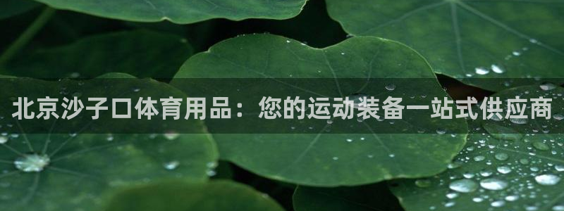 欧陆娱乐百科：北京沙子口体育用品：您的运动装备一站式