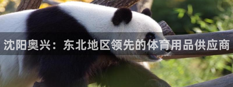 欧陆娱乐注册代理：沈阳奥兴：东北地区领先的体育用品供
