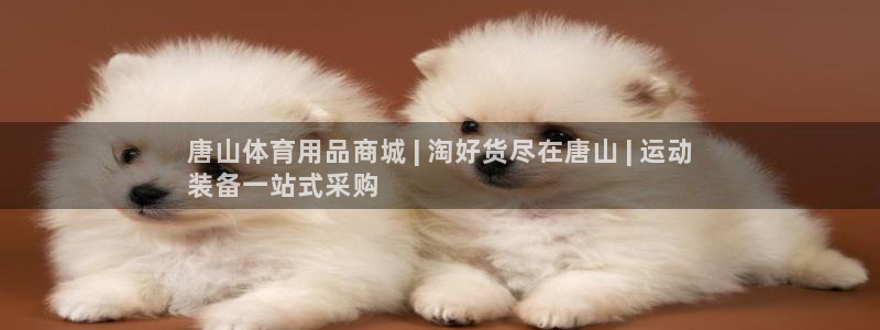 欧陆娱乐出款了吗：唐山体育用品商城 | 淘好货尽在唐