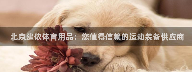 欧陆娱乐游戏： 北京建侬体育用品：您值得信赖的运动装