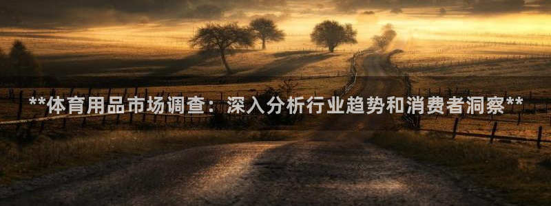 欧陆娱乐出款了吗：**体育用品市场调查：深入分析行业