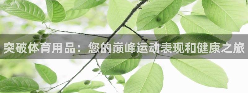欧陆娱乐打什么方案：突破体育用品：您的巅峰运动表现和